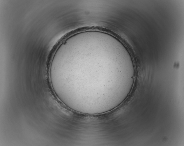 X0000112920927200909080930