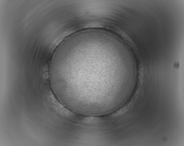 X0000112920929200909080930