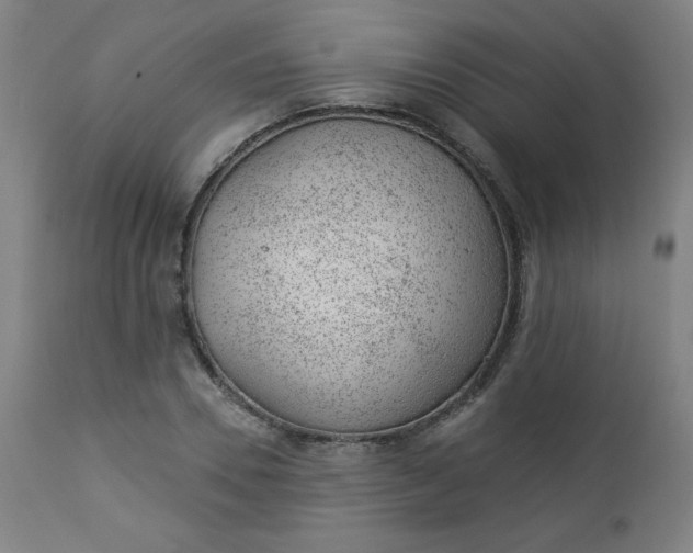 X0000112920930200909080930