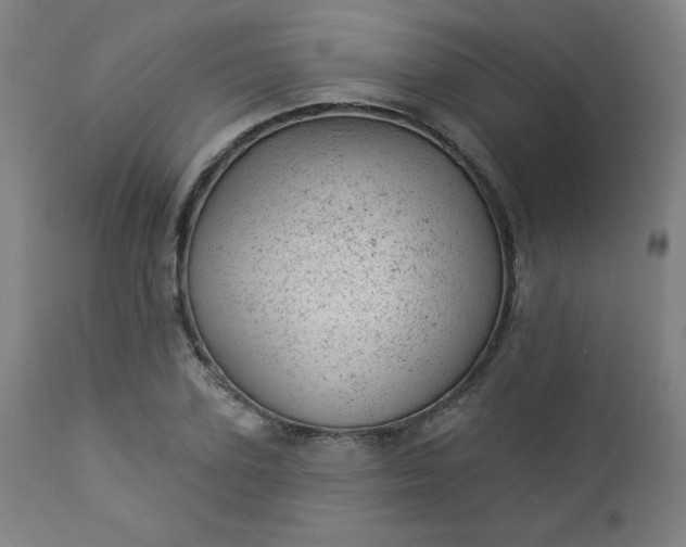 X0000112920931200909080930
