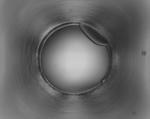 X0000112920932200909080930