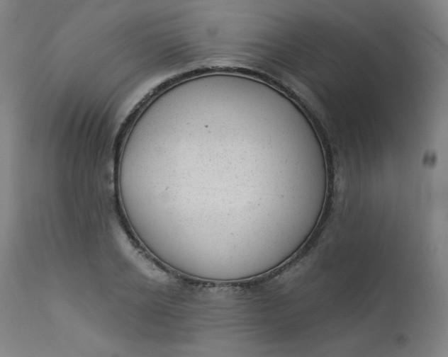 X0000112920934200909080930