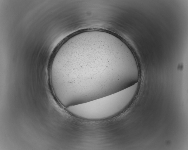 X0000112920936200909080930