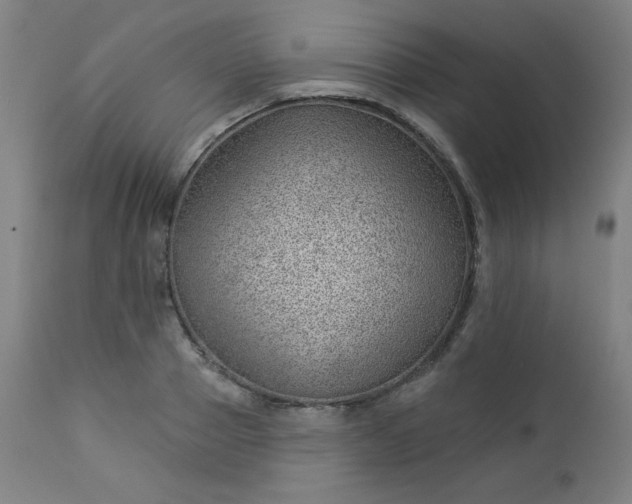 X0000112920937200909080930
