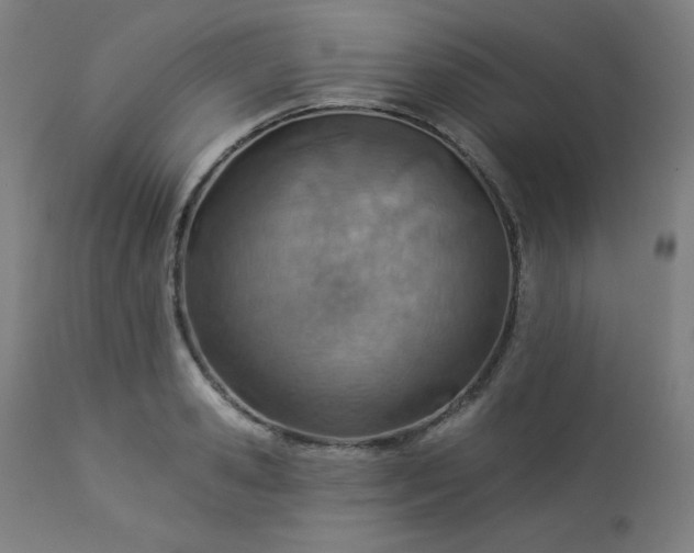 X0000112920941200909080930