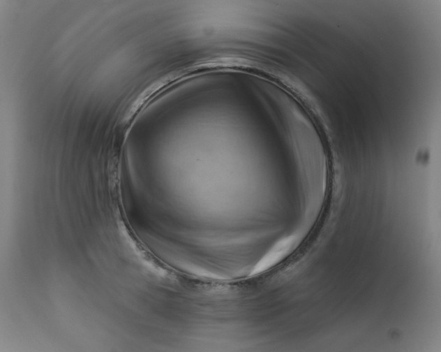 X0000112920945200909080930