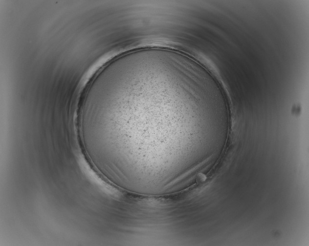 X0000112920947200909080930