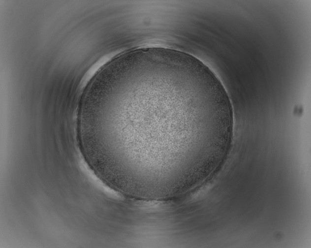 X0000112920949200909080931