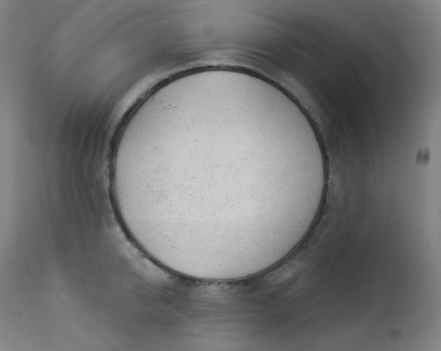 X0000112920950200909080931