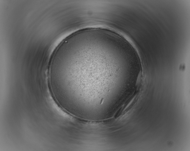 X0000112920951200909080931