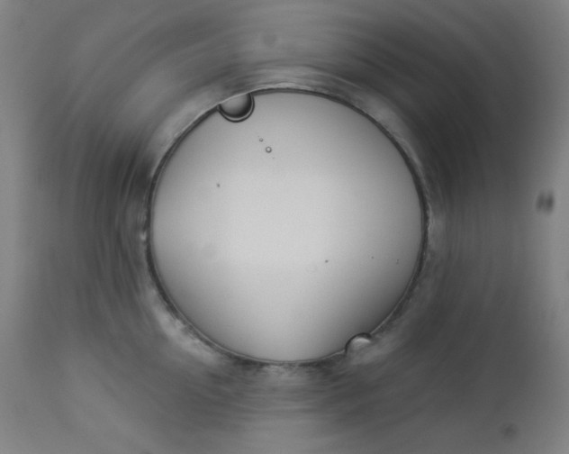 X0000112920954200909080931