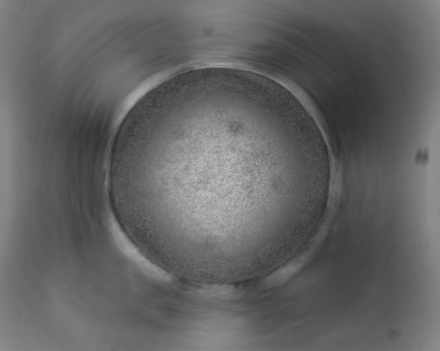 X0000112920957200909080931