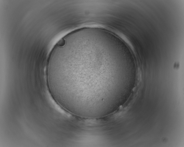X0000112920959200909080931