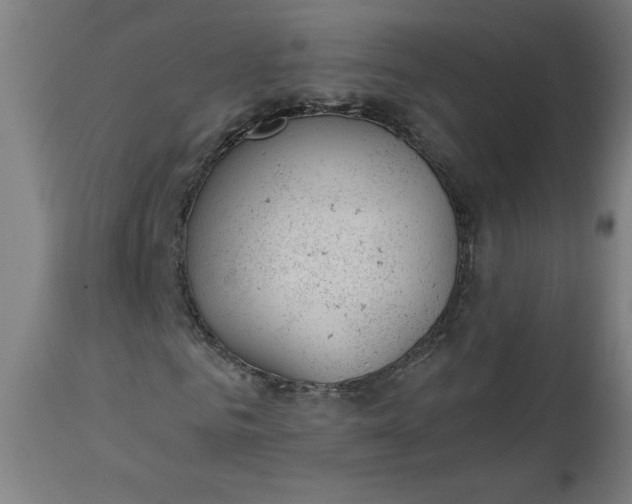X0000112920961200909080930