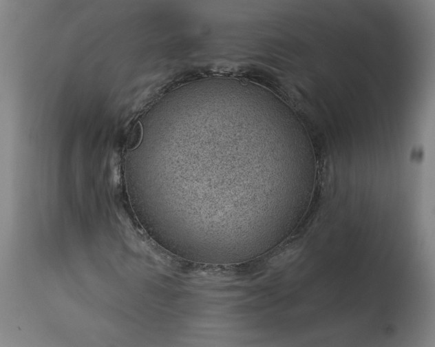 X0000112920962200909080930