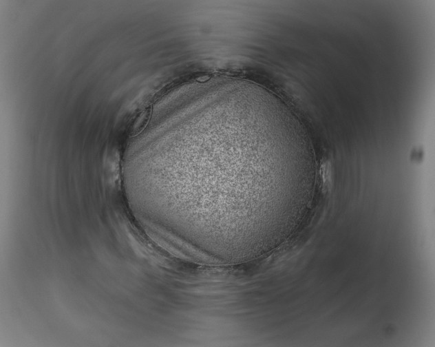 X0000112920963200909080930