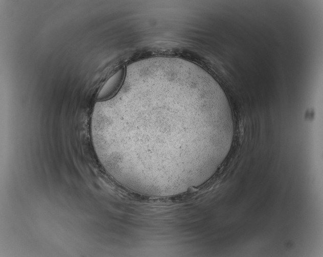 X0000112920964200909080930