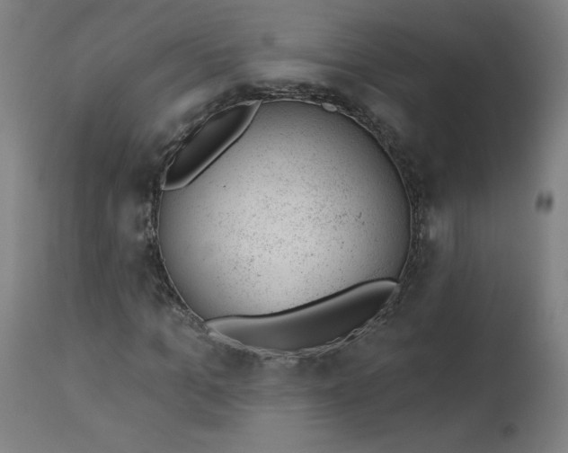 X0000112920965200909080930