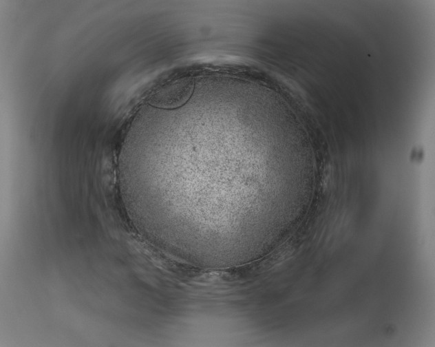 X0000112920966200909080930