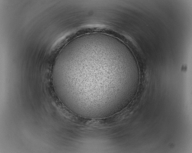 X0000112920967200909080930