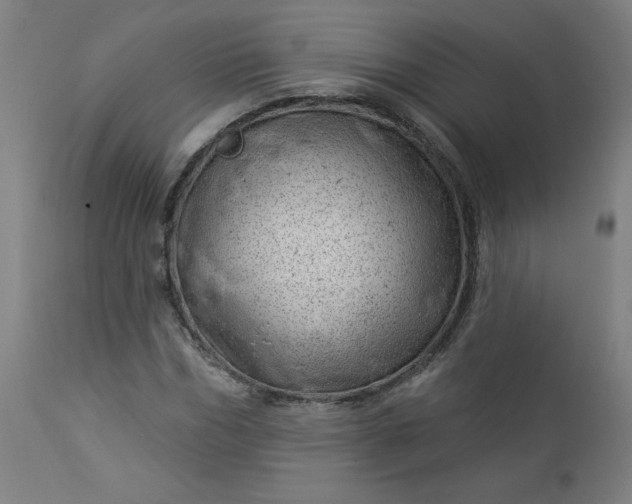 X0000112920970200909080930