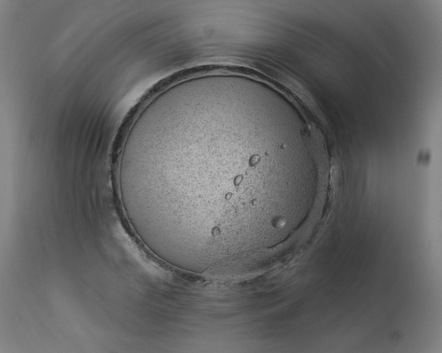 X0000112920972200909080930