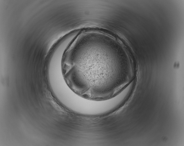 X0000112920973200909080930
