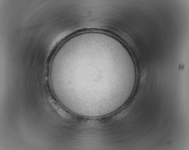 X0000112920974200909080930