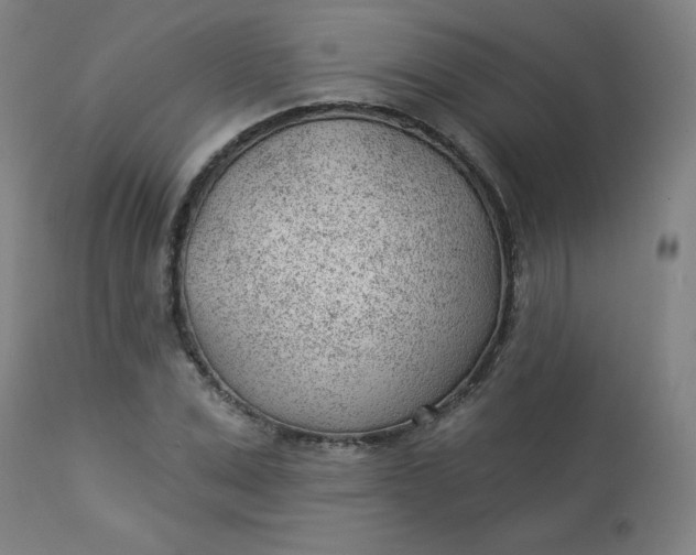 X0000112920975200909080930