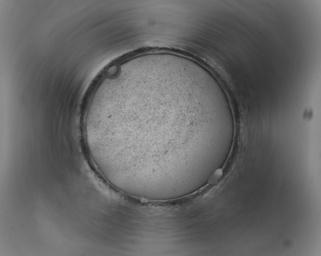 X0000112920976200909080930