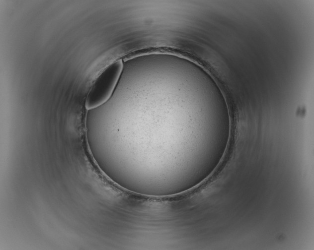 X0000112920977200909080930