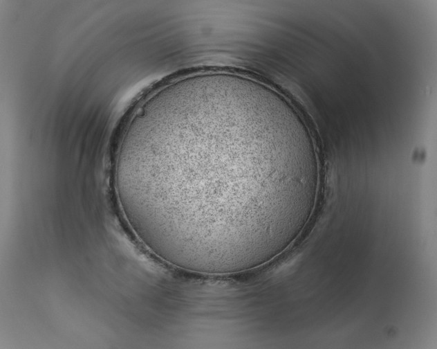 X0000112920979200909080930