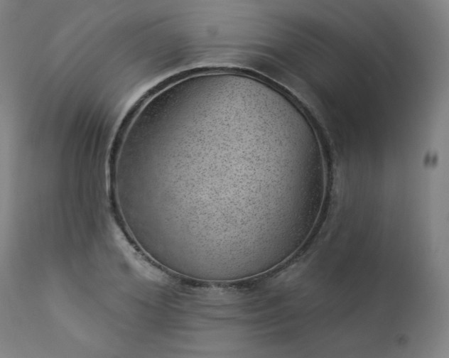 X0000112920980200909080930