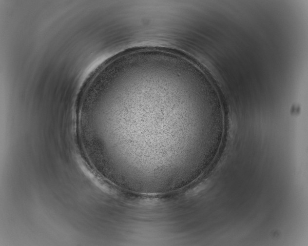 X0000112920982200909080930