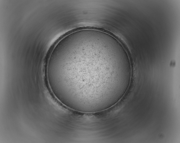 X0000112920983200909080930
