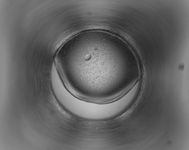 X0000112920985200909080930