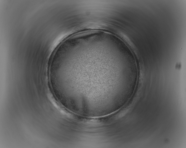 X0000112920986200909080930