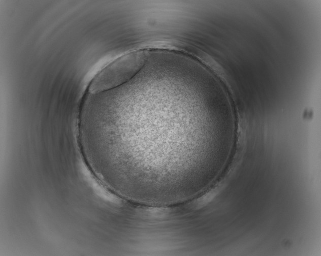 X0000112920989200909080930