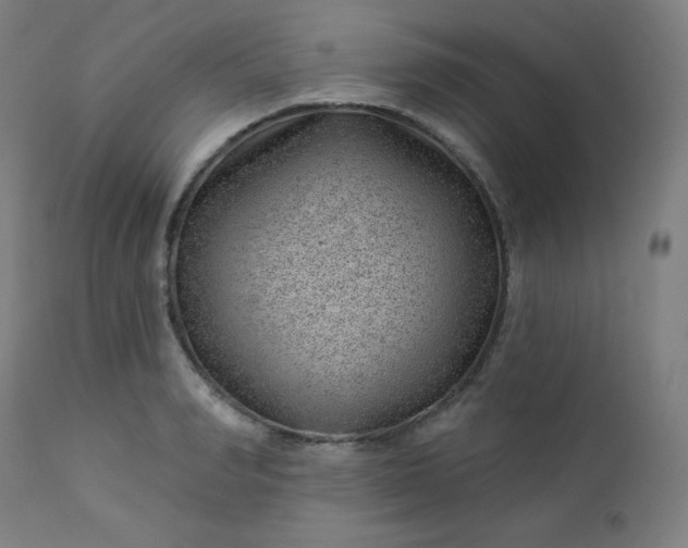 X0000112920990200909080930
