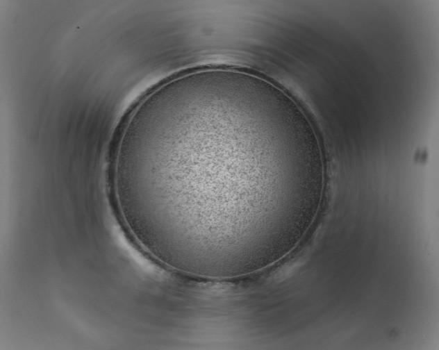 X0000112920991200909080930
