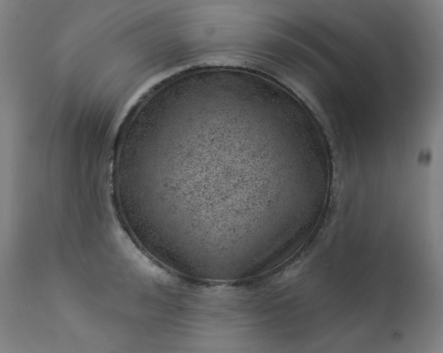 X0000112920992200909080930