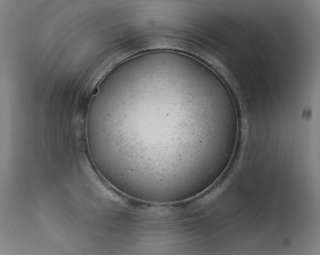 X0000112920993200909080930
