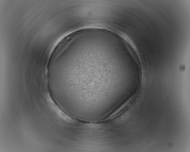X0000112920996200909080930