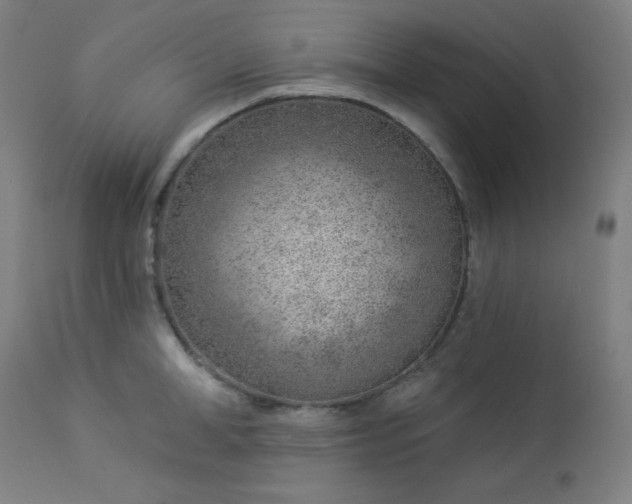 X0000112920998200909080929