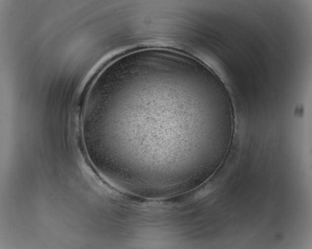 X0000112921000200909080929