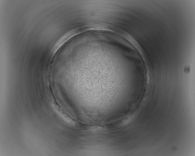 X0000112921002200909080929