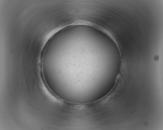 X0000112921003200909080929