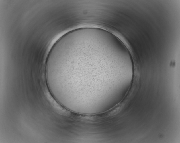 X0000112921004200909080929
