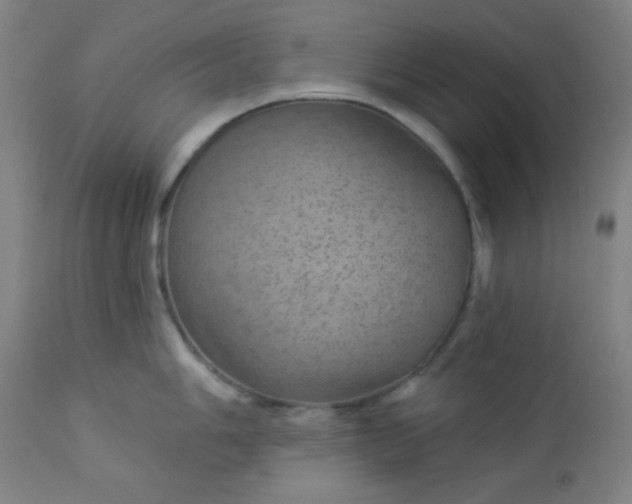 X0000112921006200909080929