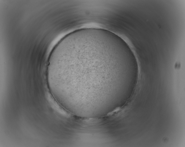 X0000112921008200909080929